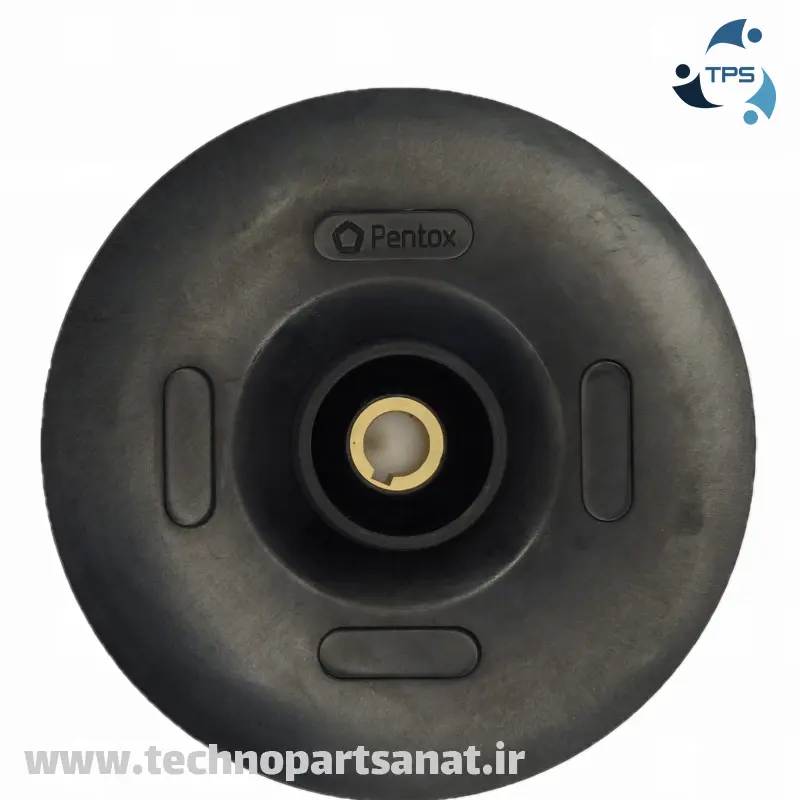 پروانه بشقابی خاری 12